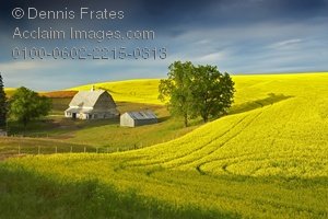 Images Pictures Farm Yard Clipart   Farm Yard Stock Photography