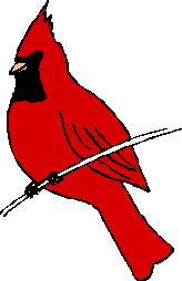 Perry Pape  North Carolina State Bird And
