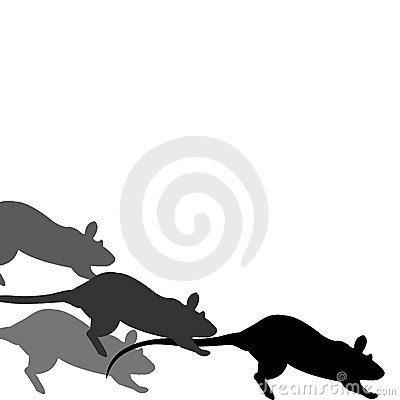 Rat Race Royalty Free Stock Images   Image  7431359