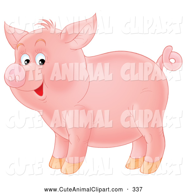 Clip Art Of A Grinning Adorable Pink Pig With A Curly Tail Standing    
