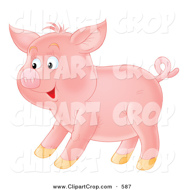 Clip Art Of A Happy Pink Pig With A Curly Tail Standing In Profile On