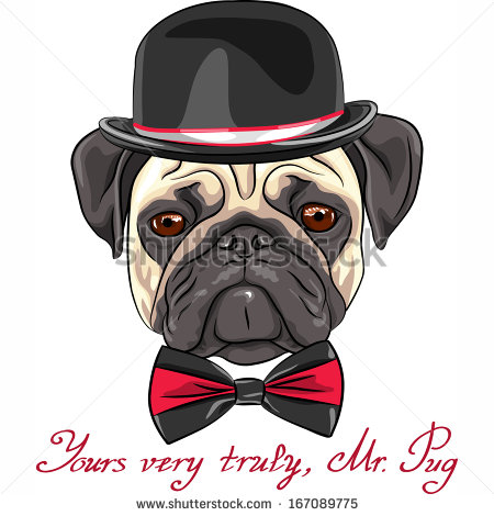 Color Sketch Hipster Serious Dog Fawn Pug Breed In A Hat And Bow Tie