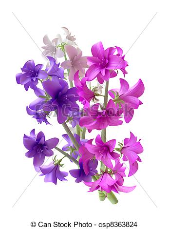 Drawing Of Hyacinth Bouquet   Beautiful Hyacinth Bouquet In 3d