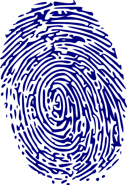 Fingerprint Blue Clip Art At Clker Com   Vector Clip Art Online
