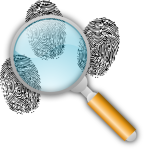 Forensic Investigation Clip Art At Clker Com   Vector Clip Art Online
