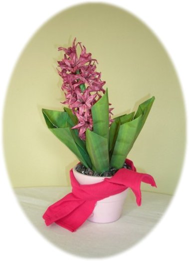 Hyacinth Clipart Image Search Results