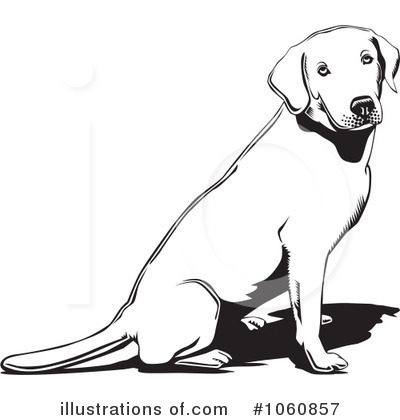 Labrador Clipart