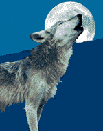 Laufend Wolf Im Mondschein   Das Kostenlose Gif Und Gratis Clipart    