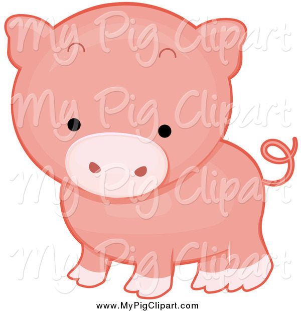 Pig Clip Art   Bnp Design Studio