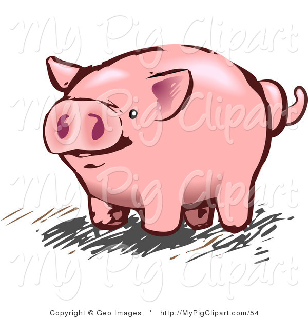 Pig Clip Art   Geo Images
