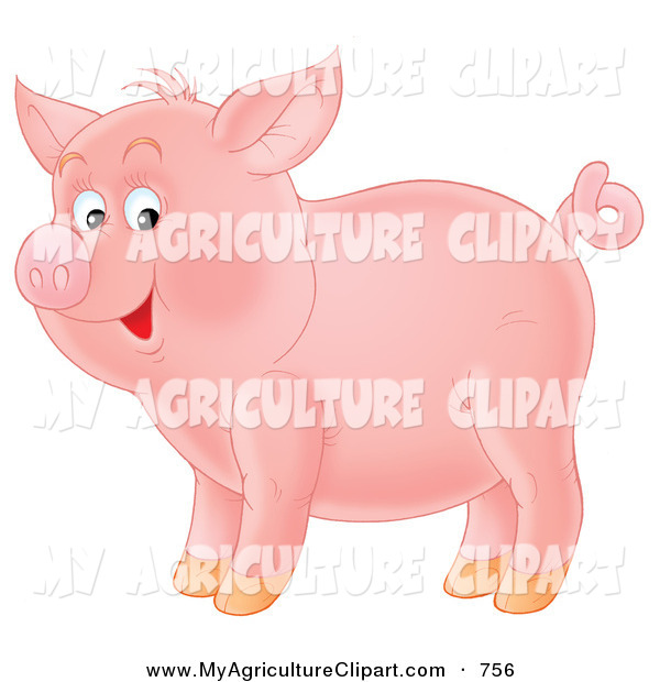 Pink Pig With A Curly Tail Standing In Profile By Alex Bannykh 756 Jpg