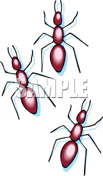 0511 1003 2221 2450 Red Ants Clipart Image Jpg