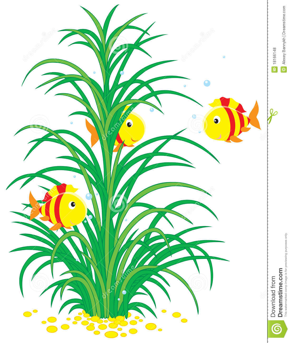 Art Of Colorful Striped Tropical Fishes Swimming Around Green Seaweed