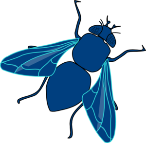 Blue Fly Clip Art At Clker Com   Vector Clip Art Online Royalty Free
