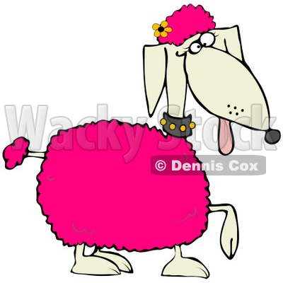 Clipart Illustration Of A Poodle Dog With Pink Tufts Of Hair And A