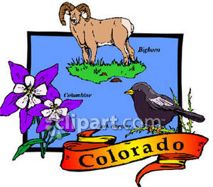 Colorado Clipart Colorado State Flower Animal And Bird Royalty Free
