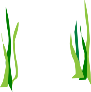 Green Reeds Clip Art At Clker Com   Vector Clip Art Online Royalty
