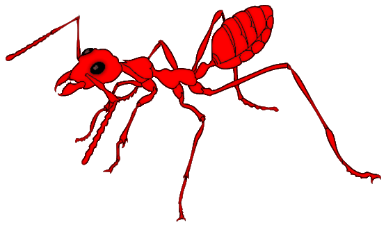Red Ants Clipart Ant Red