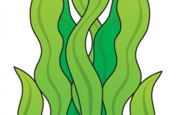 Seaweed Clipart   Item 1