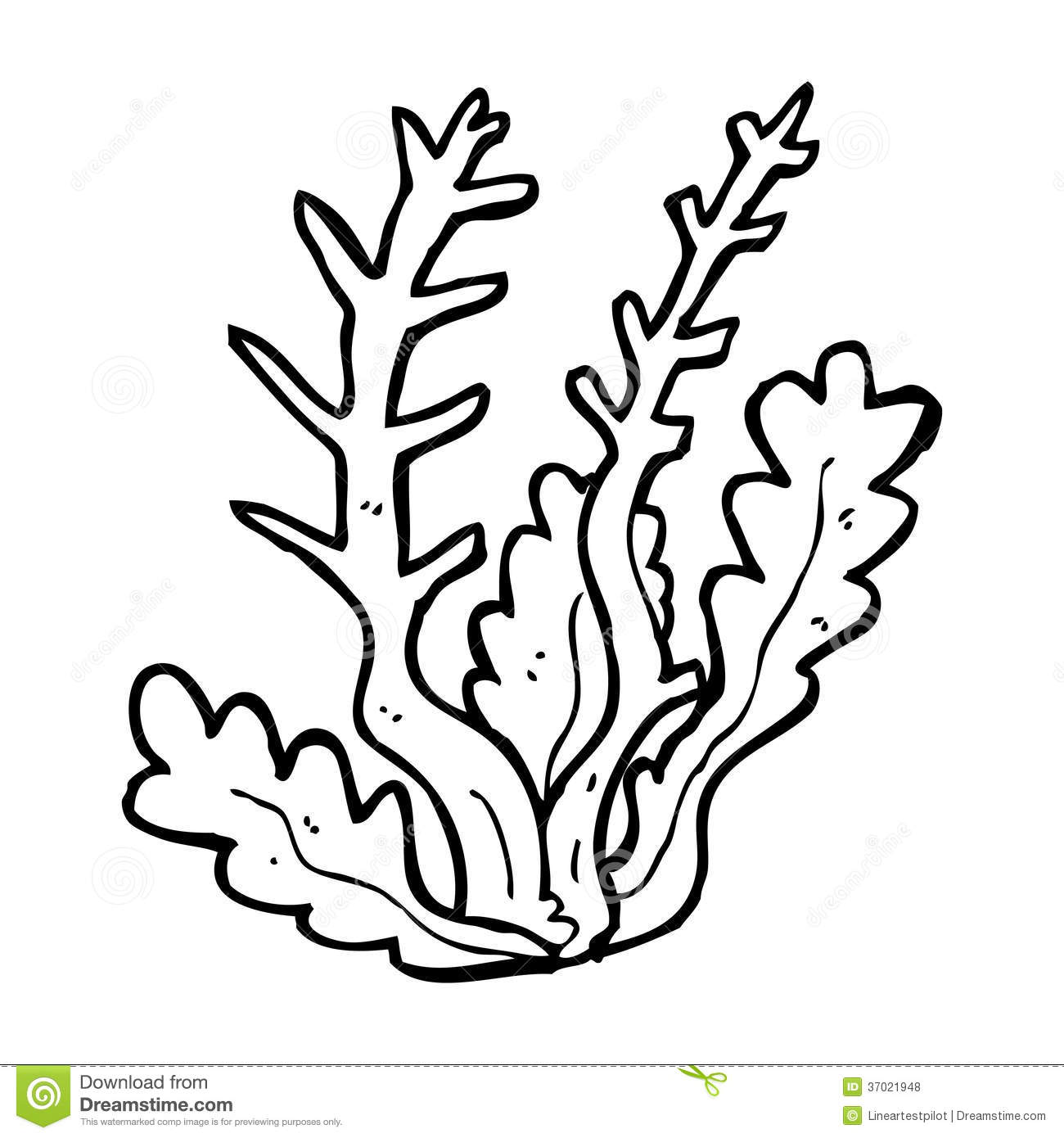 Seaweed Outline Clipart   Cliparthut   Free Clipart