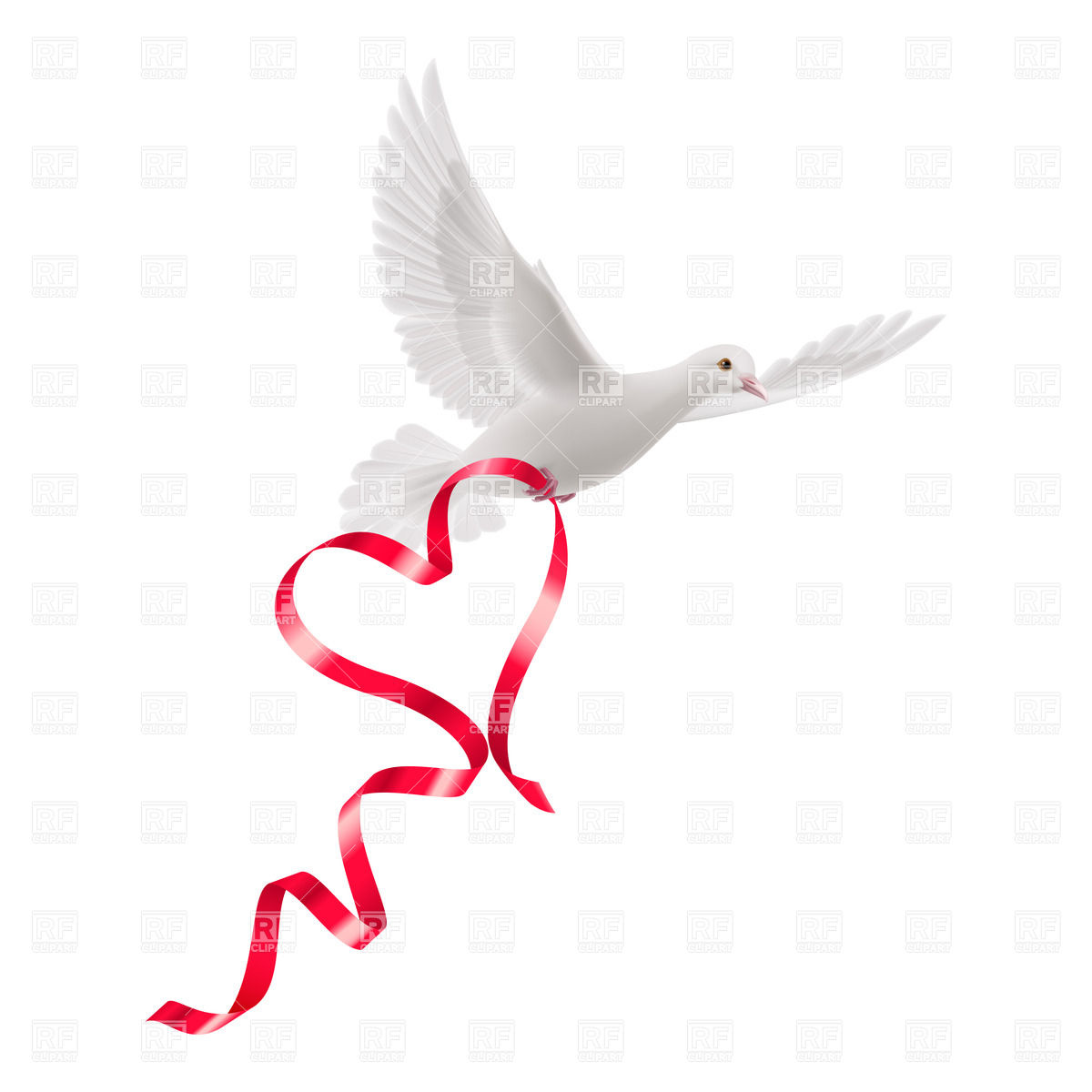 White Dove With Red Ribbon On The White Background 36602 Plants And    