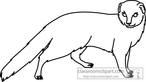 Animals   Mongoose Animal Outline 730   Classroom Clipart