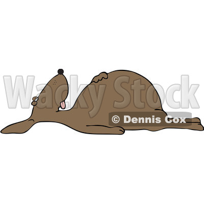 Clipart Dead Brown Dog On Its Back   Royalty Free Vector Illustration
