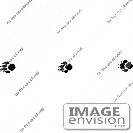 Clipart Of Gray Fox Tracks In Black And White   Royalty Free Vector    