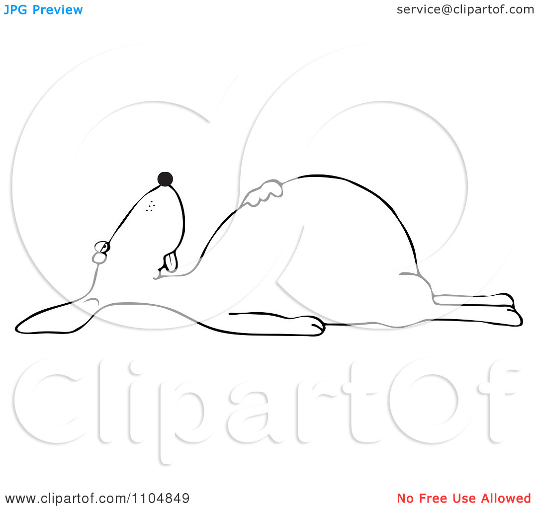 Clipart Outlined Dead Dog On Its Back   Royalty Free Vector