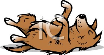 Dog Playing Dead   Royalty Free Clipart Image