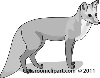 Gray And White Clipart  Animal Fox 234 Gray   Classroom Clipart