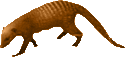 Mongoose Clipart Picture Mongoose Gif Png Icon Image