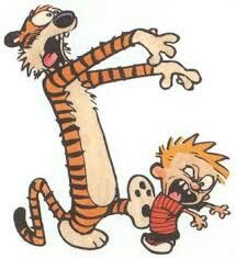 Pin By Ginger Young On Calvin And Hobbes   Pinterest