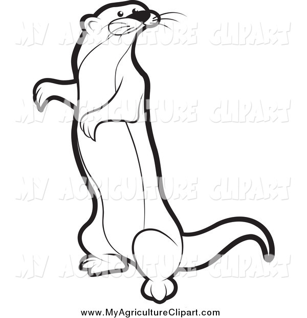 Vector Agriculture Clipart Of A Black And White Standing Mongoose By    