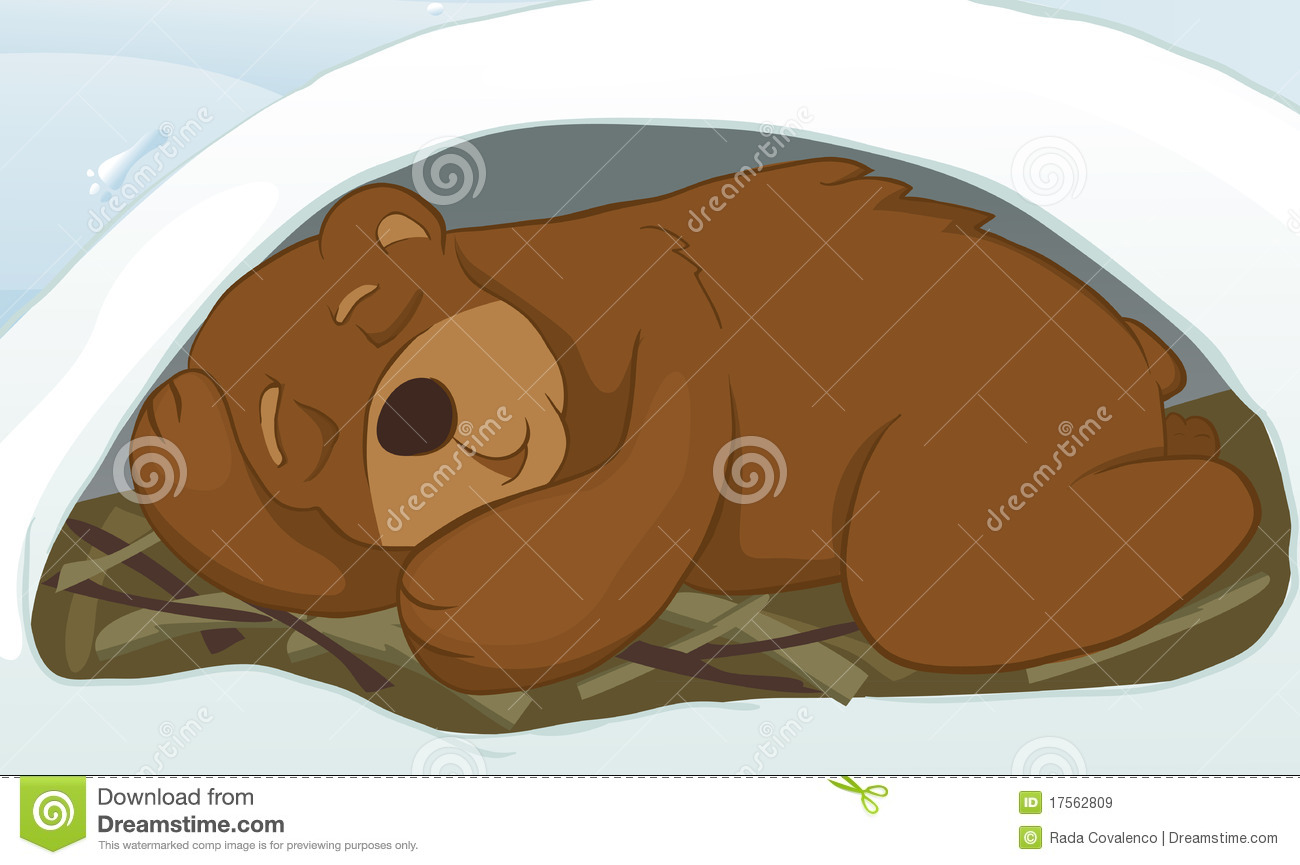 Bear Hibernation Clip Art Bear In A Den