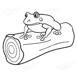 Beka Book    Clip Art    Frog On A Log