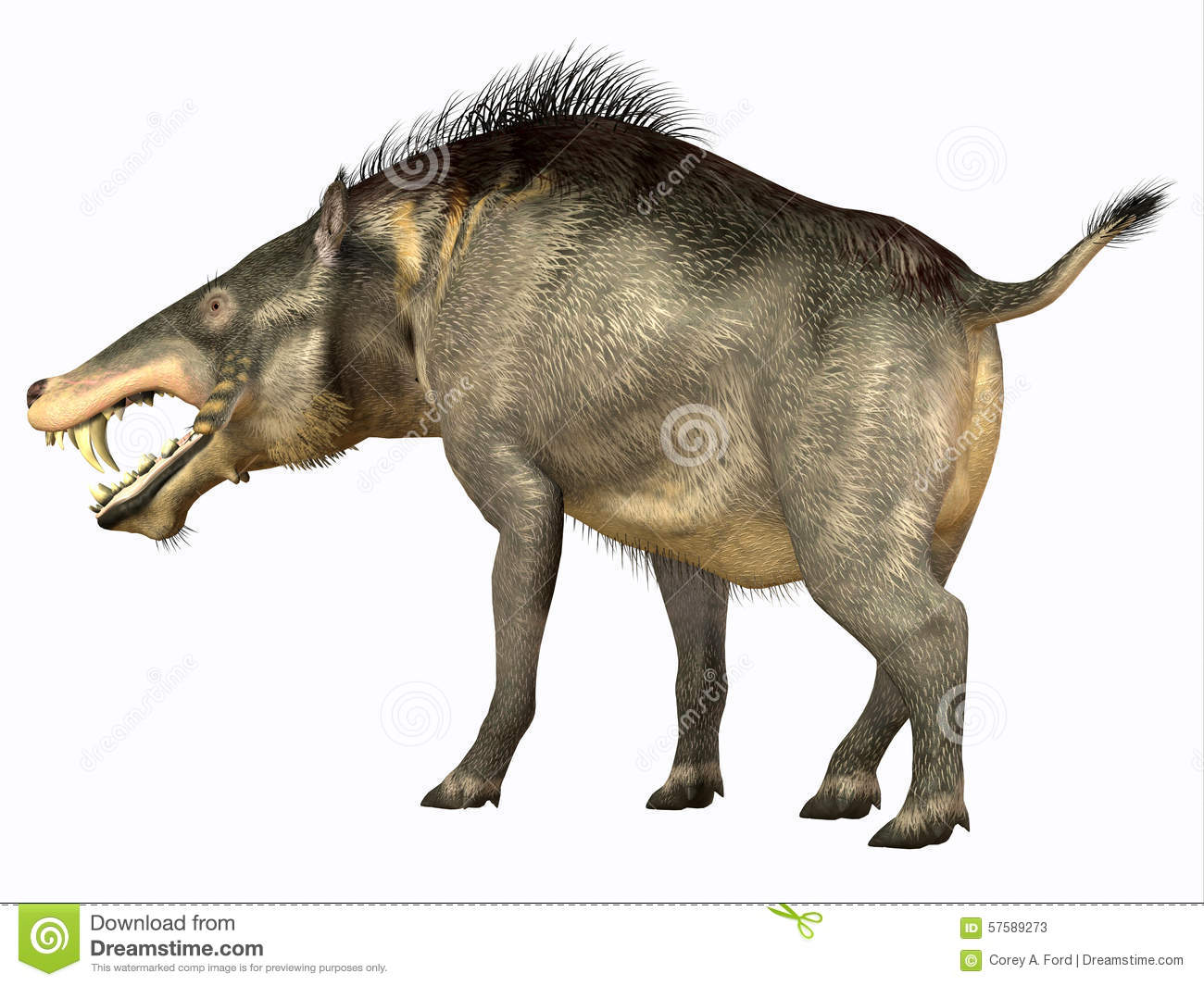 Entelodon Was An Omnivorous Pig That Lived In Europe And Asia In The