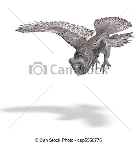 Grey Owl Bird  3d Rendering With And Shadow Over White   Csp5550775