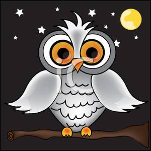 Grey Owl Sitting On A Tree Branch In The Dark   Royalty Free Clipart