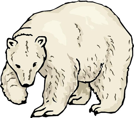 Http   Lynnsroadtrip Homestead Com  Site Clipart Animals Polar Bear