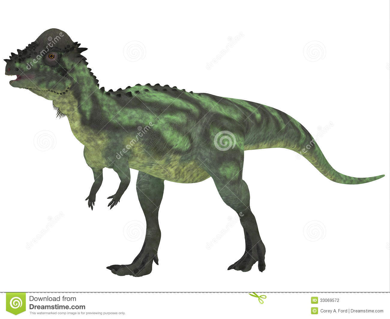 Pachycephalosaurus Dinosaur Was A Bipedal Omnivore With An Extremely