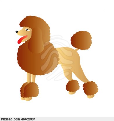 There Is 55 Brown Poodle Free Cliparts All Used For Free