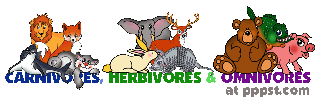 What Animals Eat  Carnivores Herbivores   Omnivores Illustration