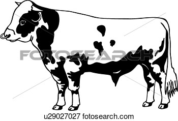 Animal Cow Friesian Holstein Breed   Fotosearch   Search Clipart