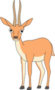 Antelope Clipart And Graphics