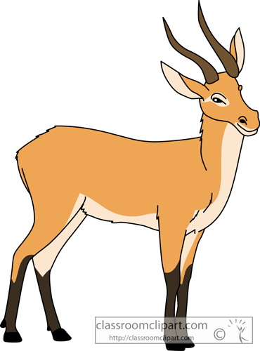 Antelope Clipart   Lechwes Animal 713   Classroom Clipart