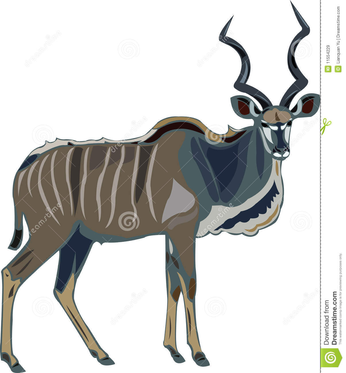 Antelope Series Greater Kudu Royalty Free Stock Images   Image