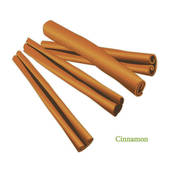Cinnamon Illustrations And Clip Art  310 Cinnamon Royalty Free