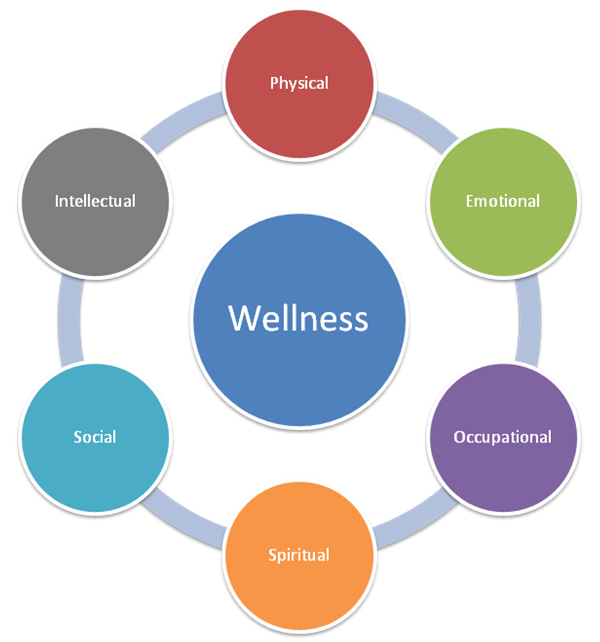 Interactive Wheel   Wellness   College Of Health Sciences   Marquette