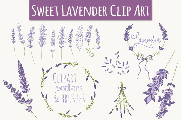 Lavender Clip Art   Vectors   Graphics On Creative Market